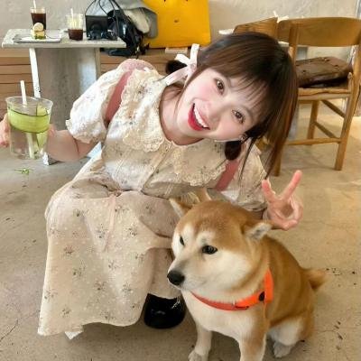 完美家伙